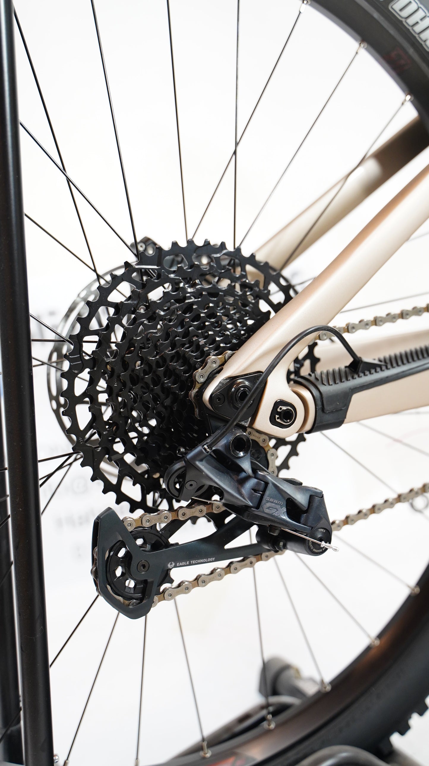 Lapierre Zesty AM CF 7.9