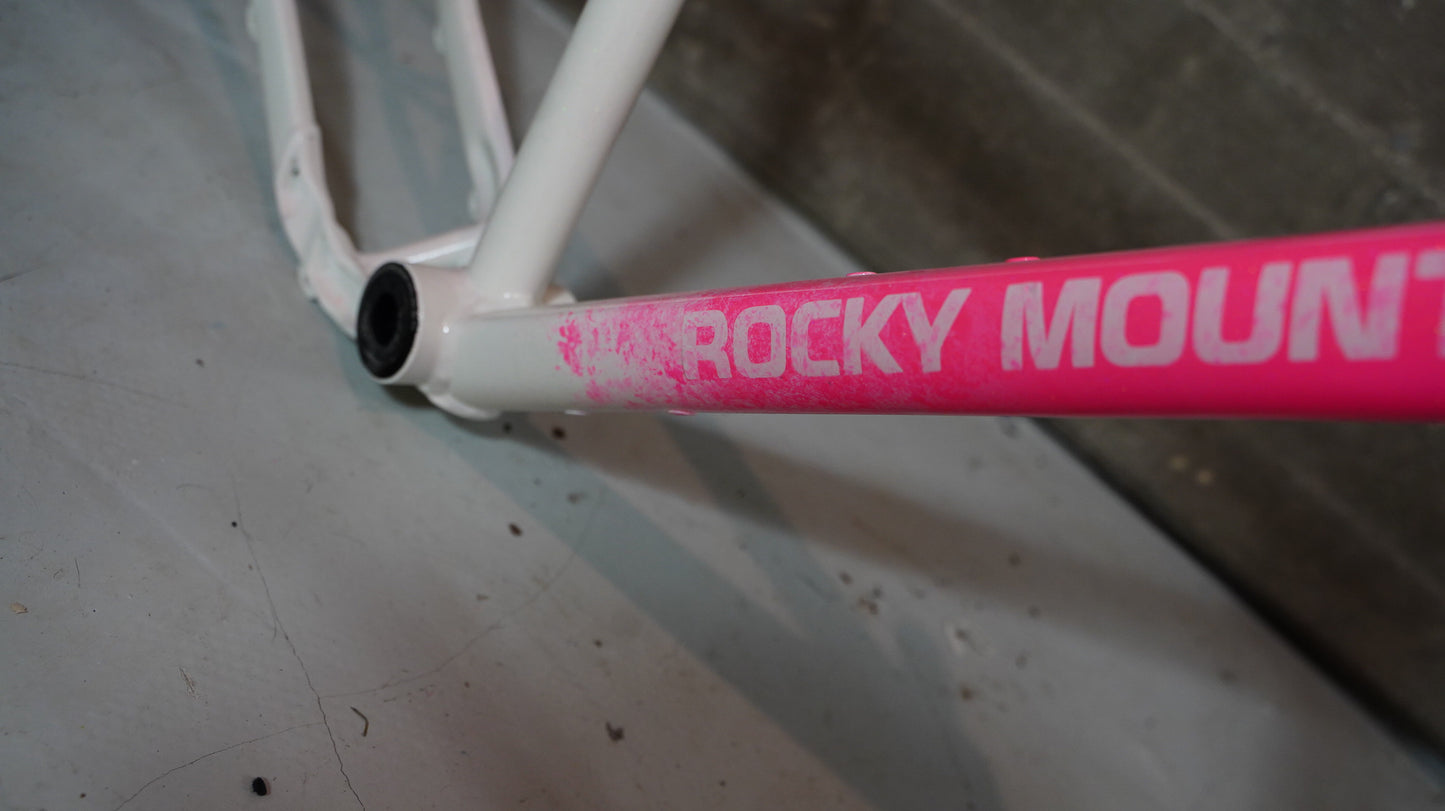 Lackierung Hardtail Zweifarbig in Wunschfarbe