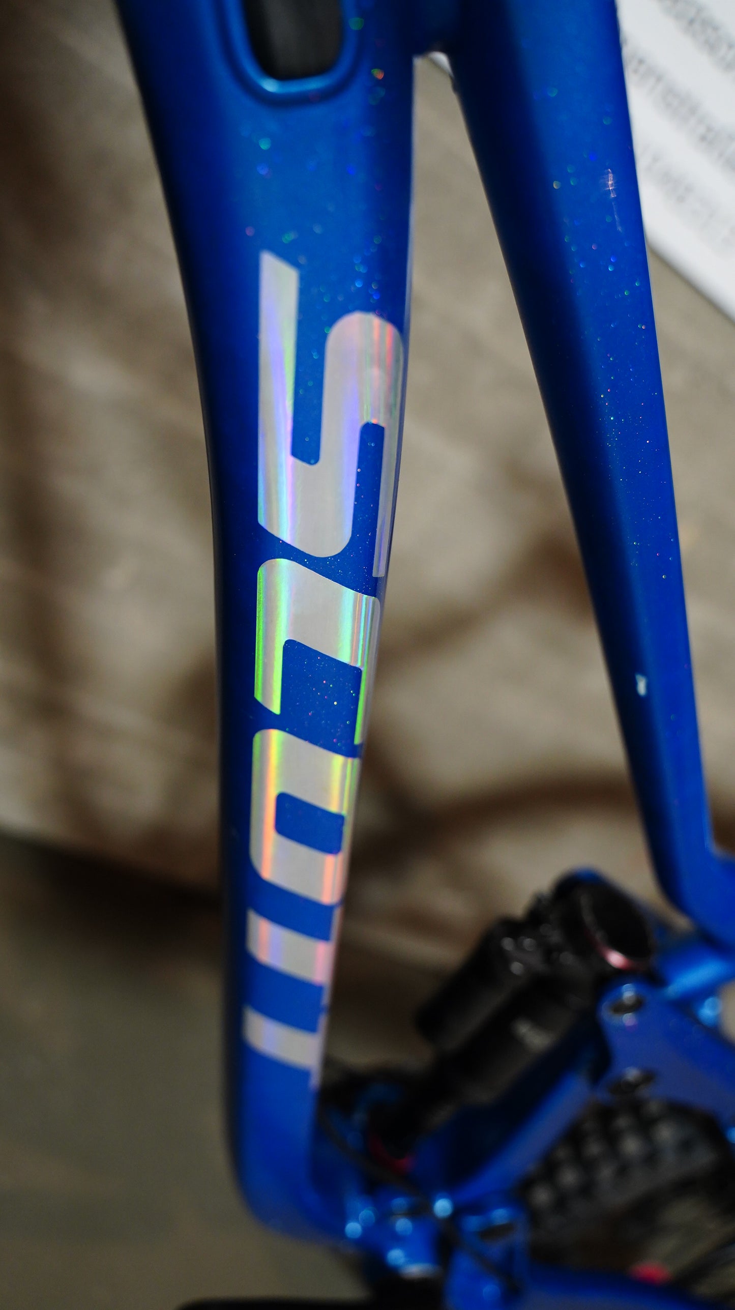 Scott Gambler (Seasonbikes Edition)