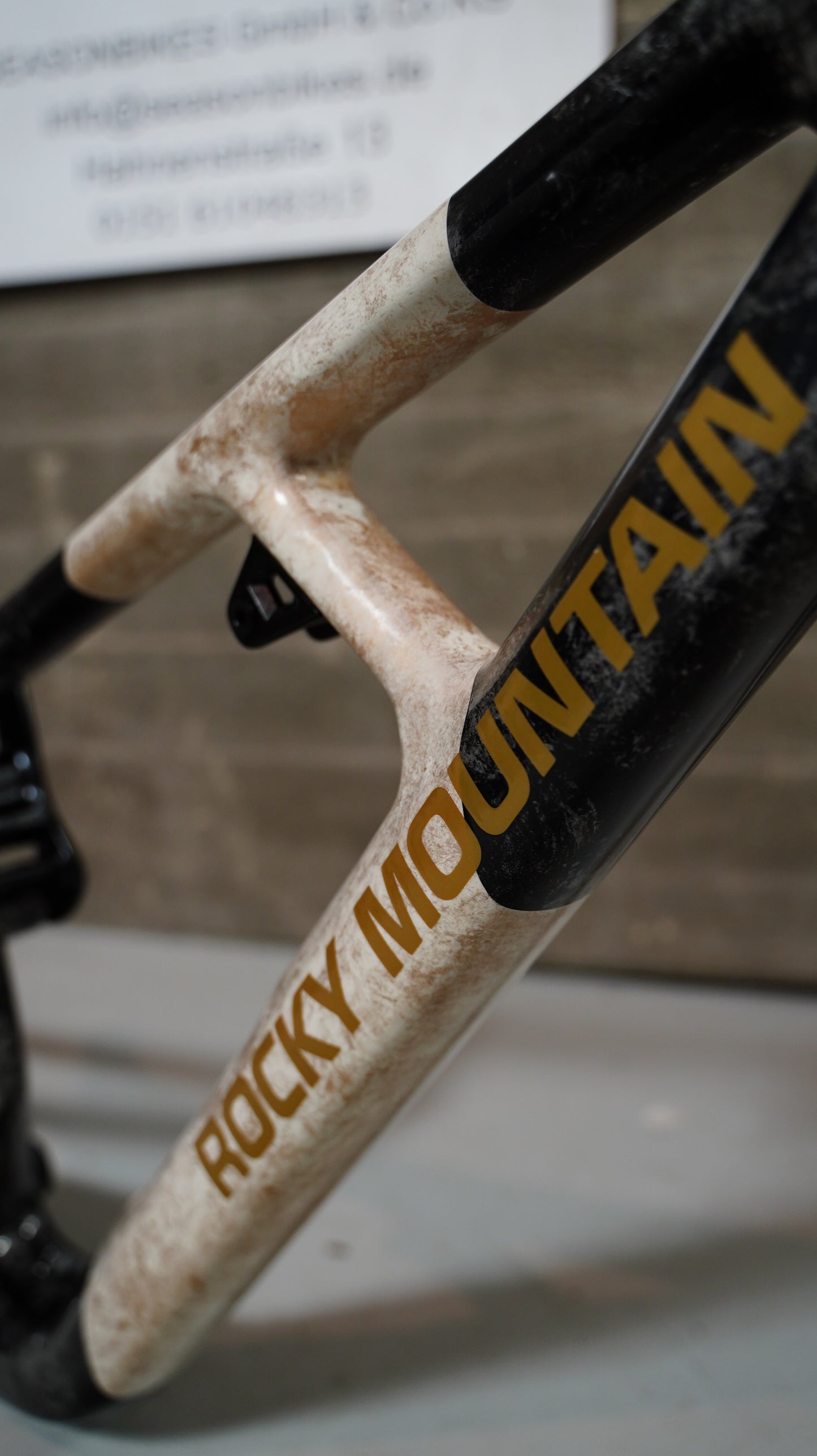 Rocky Mountain Slayer Carbon Custom