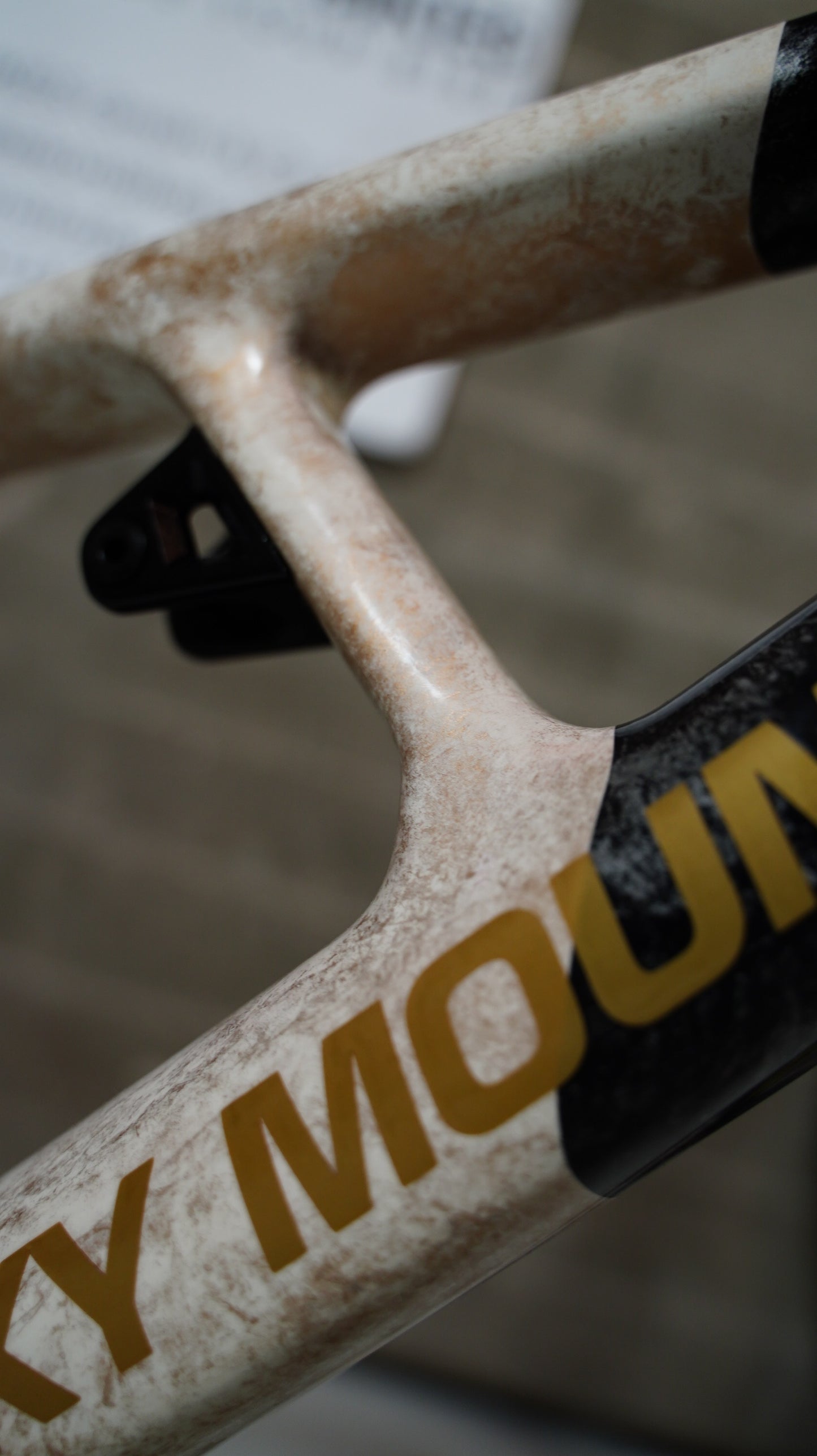 Rocky Mountain Slayer Carbon Custom